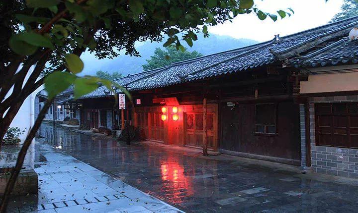 逃离野鸡森林